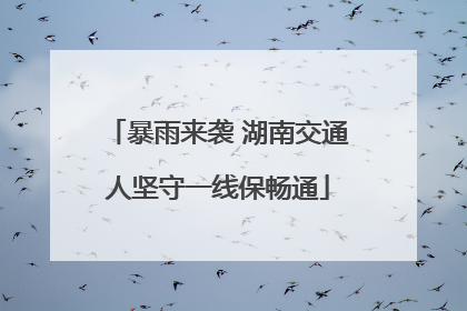 暴雨来袭 湖南交通人坚守一线保畅通