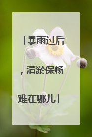 暴雨过后，清淤保畅难在哪儿