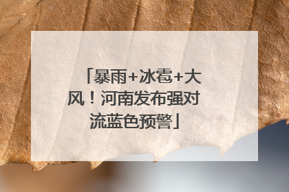 暴雨+冰雹+大风！河南发布强对流蓝色预警