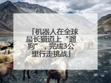 机器人在全球最长猫道上“遛狗”，完成3公里行走挑战