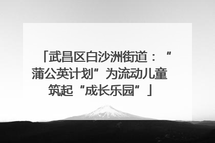 武昌区白沙洲街道：“蒲公英计划”为流动儿童筑起“成长乐园”