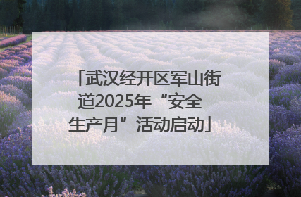 武汉经开区军山街道2025年“安全生产月”活动启动