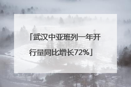 武汉中亚班列一年开行量同比增长72%