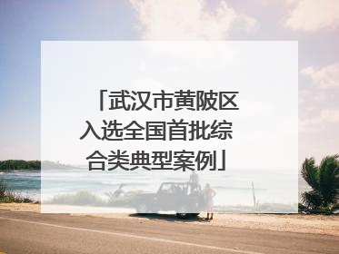 武汉市黄陂区入选全国首批综合类典型案例
