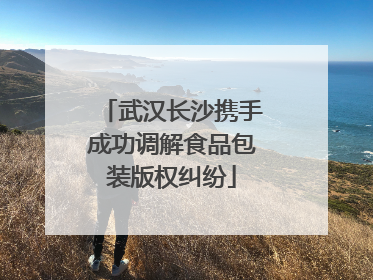 武汉长沙携手成功调解食品包装版权纠纷
