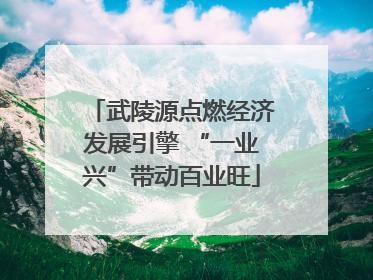 武陵源点燃经济发展引擎 “一业兴”带动百业旺