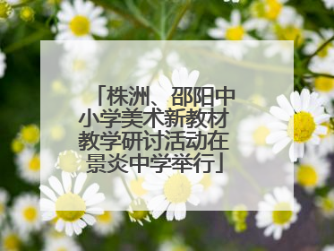 株洲、邵阳中小学美术新教材教学研讨活动在景炎中学举行