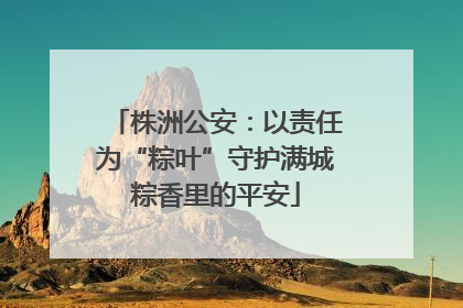 株洲公安：以责任为“粽叶”守护满城粽香里的平安