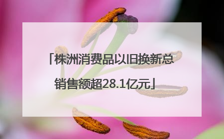 株洲消费品以旧换新总销售额超28.1亿元