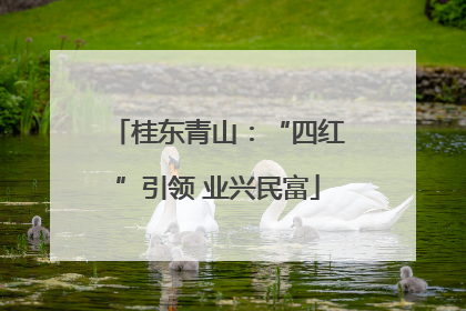 桂东青山：“四红”引领 业兴民富