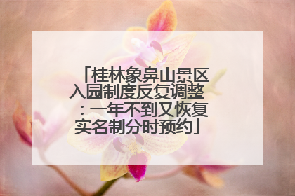 桂林象鼻山景区入园制度反复调整：一年不到又恢复实名制分时预约