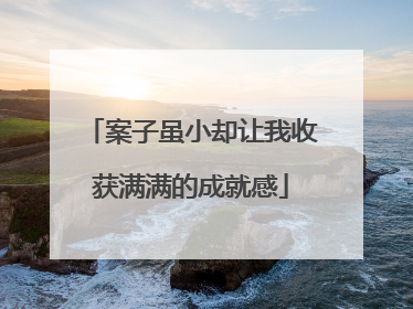 案子虽小却让我收获满满的成就感