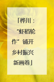桦川：“虾稻轮作”铺开乡村振兴新画卷
