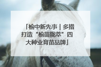 榆中新先事｜多措打造“榆苗陇萃”四大种业育苗品牌