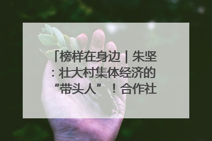 榜样在身边｜朱坚：壮大村集体经济的“带头人”！合作社经营收入三年内突破1200万元