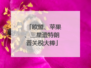 欧盟、苹果、三星遭特朗普关税大棒
