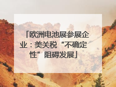 欧洲电池展参展企业：美关税“不确定性”阻碍发展