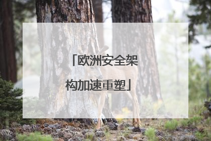 欧洲安全架构加速重塑