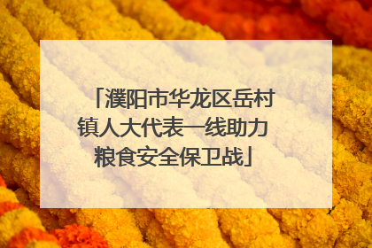 濮阳市华龙区岳村镇人大代表一线助力粮食安全保卫战