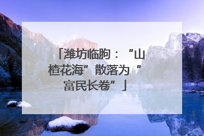 潍坊临朐：“山楂花海”散落为“富民长卷”