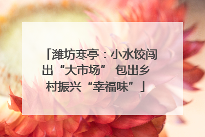 潍坊寒亭：小水饺闯出“大市场” 包出乡村振兴“幸福味”