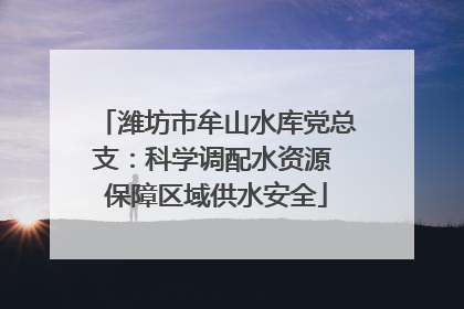 潍坊市牟山水库党总支：科学调配水资源 保障区域供水安全