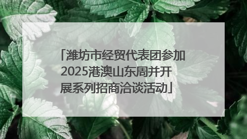 潍坊市经贸代表团参加2025港澳山东周并开展系列招商洽谈活动