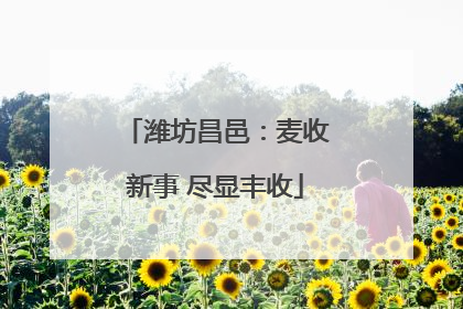潍坊昌邑：麦收新事 尽显丰收