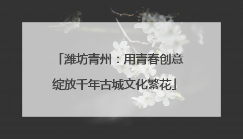 潍坊青州：用青春创意绽放千年古城文化繁花