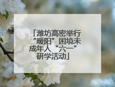 潍坊高密举行“暖阳”困境未成年人“六一”研学活动