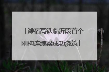 潍宿高铁临沂段首个刚构连续梁成功浇筑
