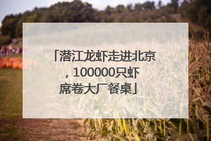潜江龙虾走进北京，100000只虾席卷大厂餐桌