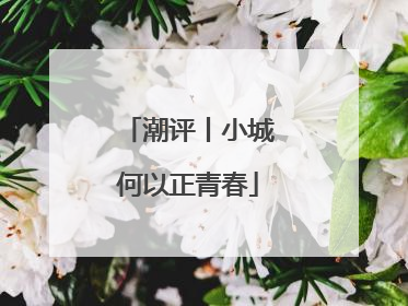 潮评丨小城何以正青春