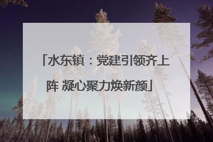 水东镇：党建引领齐上阵 凝心聚力焕新颜