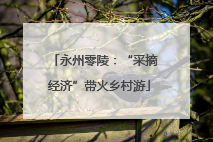 永州零陵：“采摘经济”带火乡村游