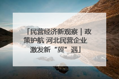 民营经济新观察｜政策护航 河北民营企业激发新“冀”遇