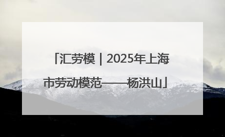 汇劳模｜2025年上海市劳动模范——杨洪山
