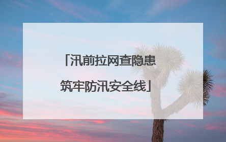 汛前拉网查隐患 筑牢防汛安全线