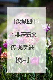 汝城四中：非遗薪火传 龙舞进校园