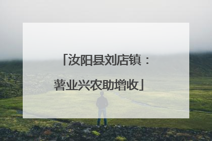 汝阳县刘店镇：薯业兴农助增收