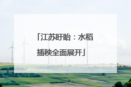 江苏盱眙：水稻插秧全面展开