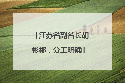 江苏省副省长胡彬郴，分工明确