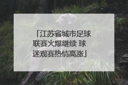 江苏省城市足球联赛火爆继续 球迷观赛热情高涨