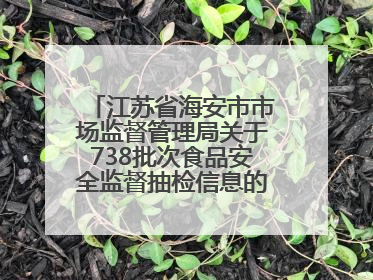江苏省海安市市场监督管理局关于738批次食品安全监督抽检信息的通告（2025年第4期）
