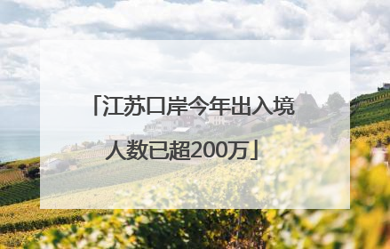 江苏口岸今年出入境人数已超200万