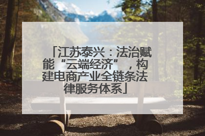 江苏泰兴：法治赋能“云端经济”，构建电商产业全链条法律服务体系