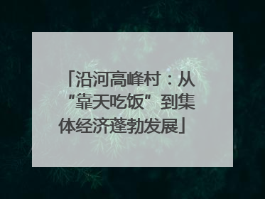 沿河高峰村：从“靠天吃饭”到集体经济蓬勃发展