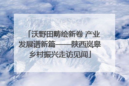 沃野田畴绘新卷 产业发展谱新篇——陕西岚皋乡村振兴走访见闻