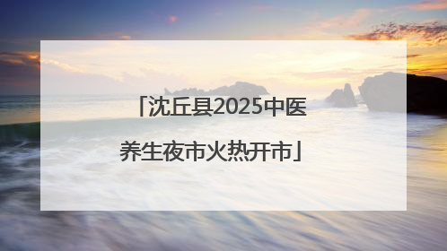 沈丘县2025中医养生夜市火热开市