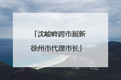 沈峻峰跨市履新徐州市代理市长